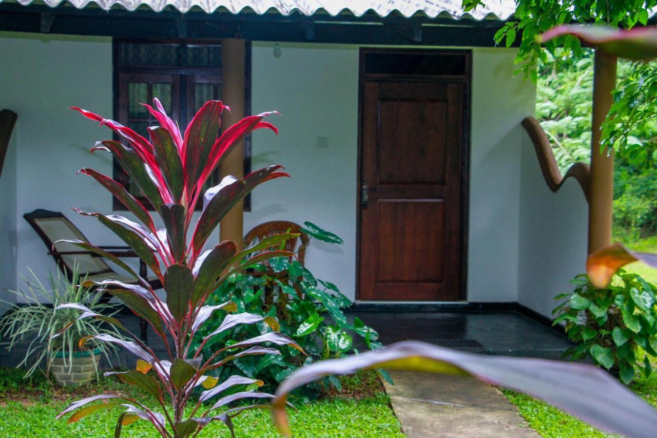 Nimsara Lodge Sigiriya Exterior photo