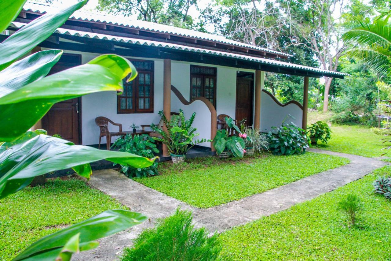 Nimsara Lodge Sigiriya Exterior photo
