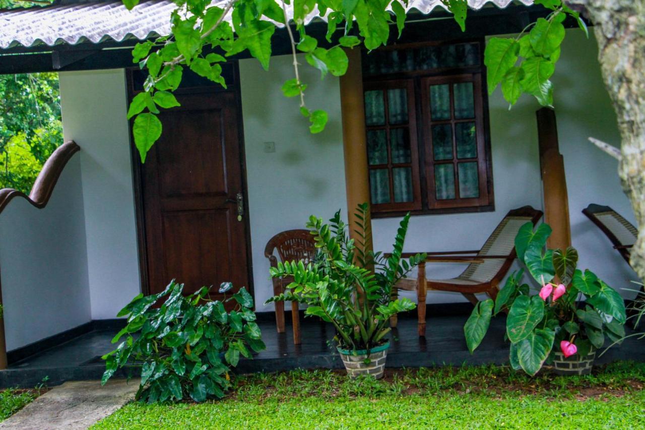 Nimsara Lodge Sigiriya Exterior photo